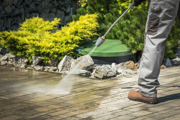 Best Warehouse Cleaning  in Homeland, CA