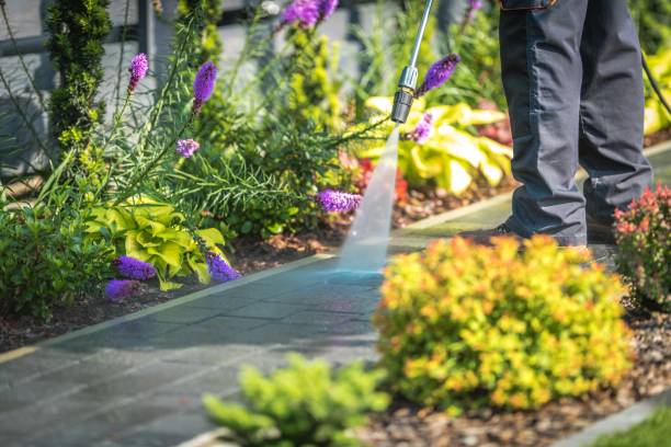  Homeland, CA Pressure Washing Pros