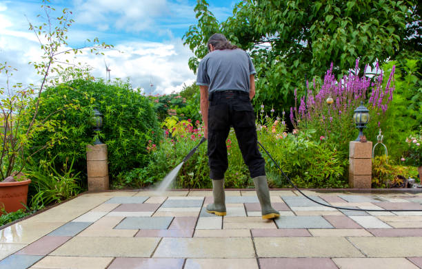 Best Driveway Pressure Washing  in Homeland, CA